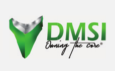 DMSI logo