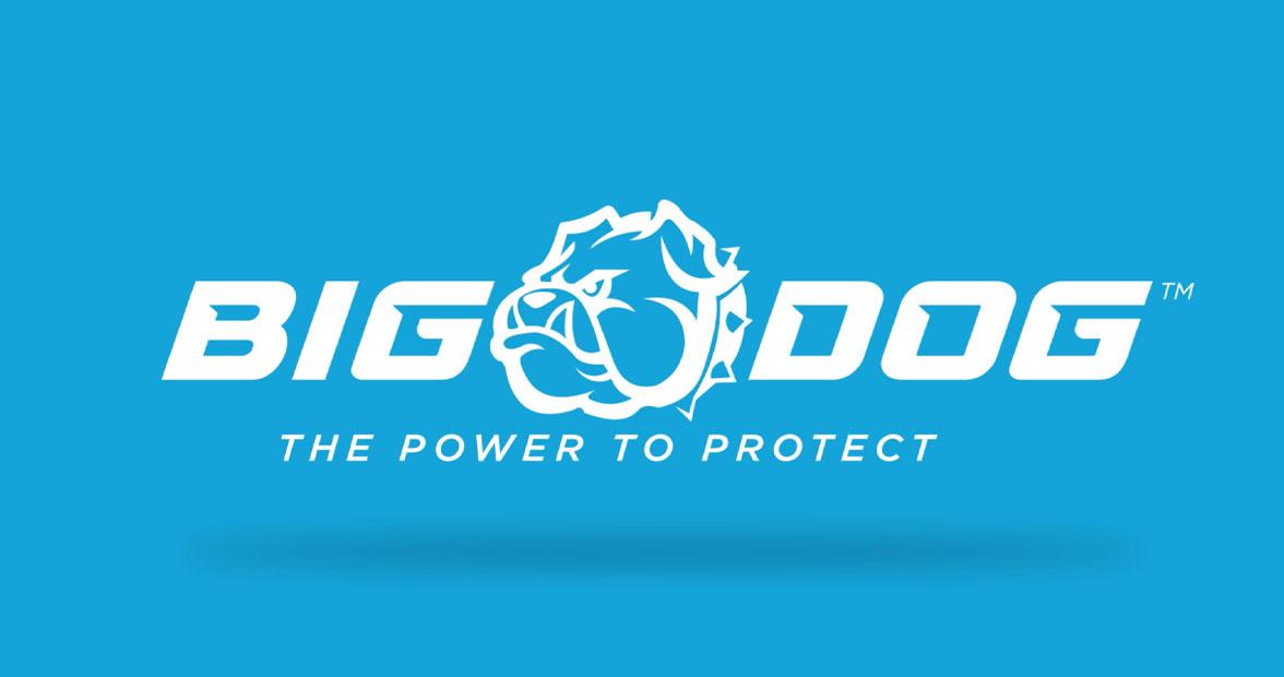 Big Dog logo